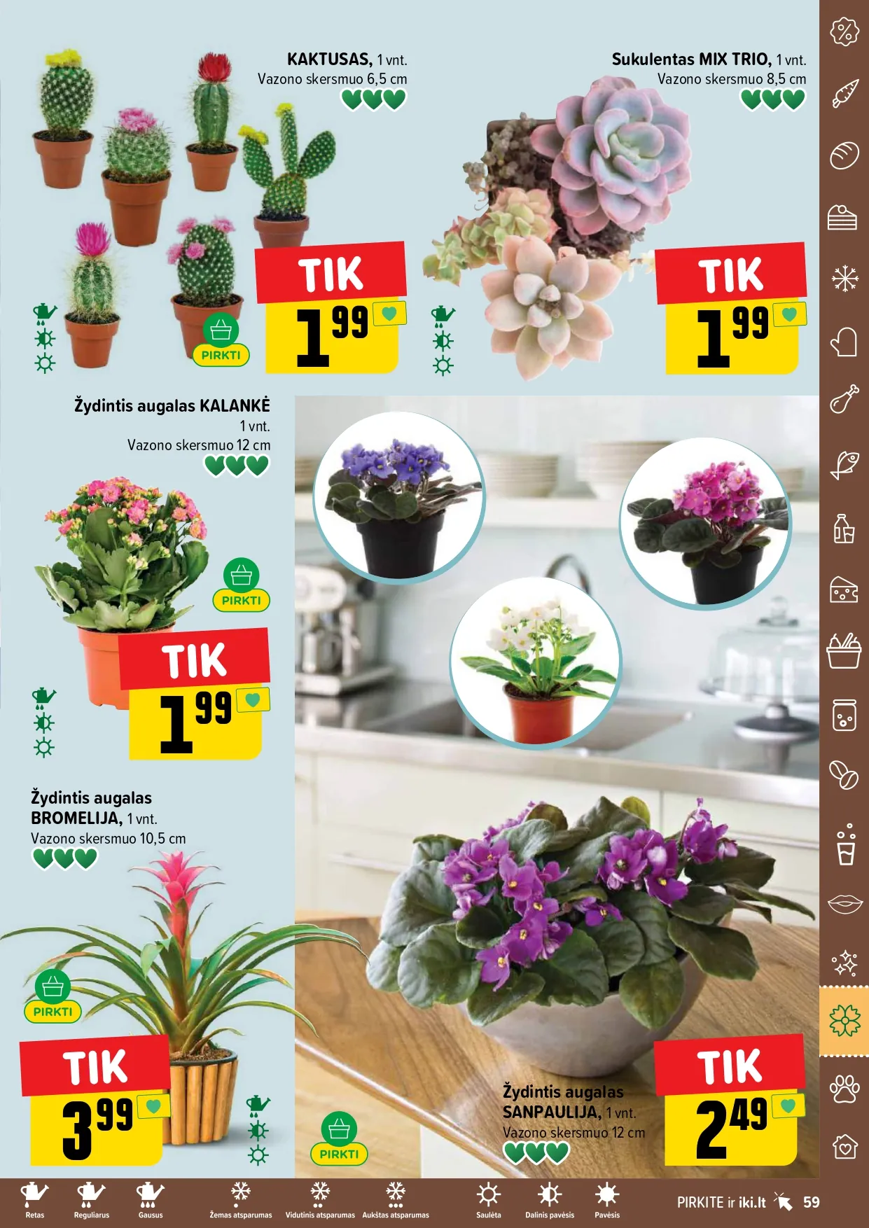 IKI akcijų ir nuolaidų leidinys Nr. 3 nuo 2026.01.12 iki 2026.01.18 - 59