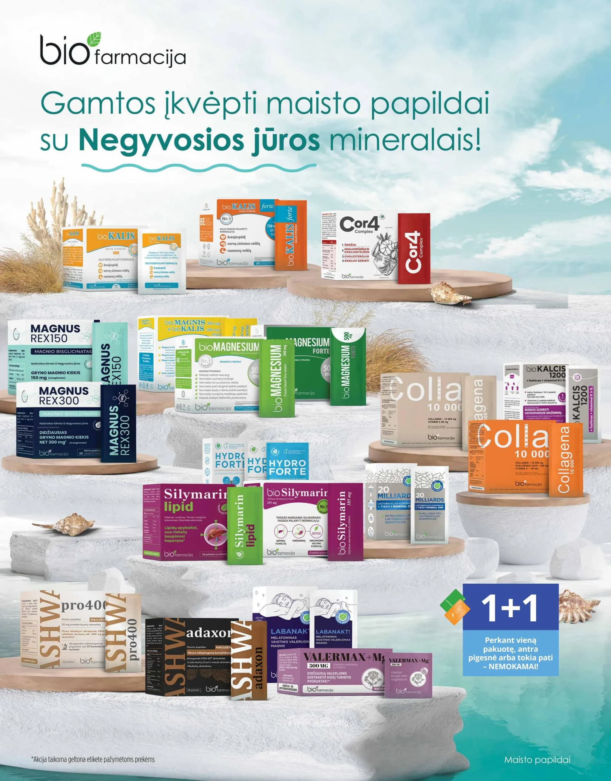 GINTARINĖ VAISTINĖ akcijų ir nuolaidų leidinys nuo 2026.02.01 iki 2026.02.28 - 2