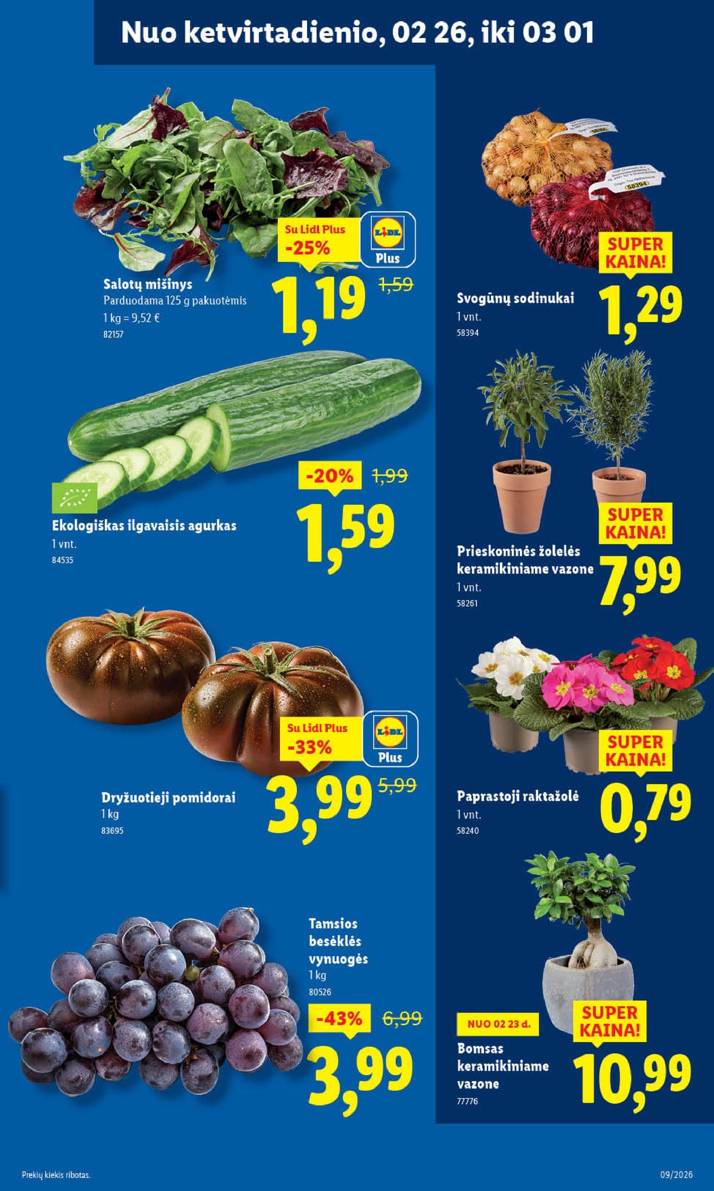 LIDL akcijų ir nuolaidų leidinys Nr. 9 nuo 2026.02.23 iki 2026.03.01 - 53