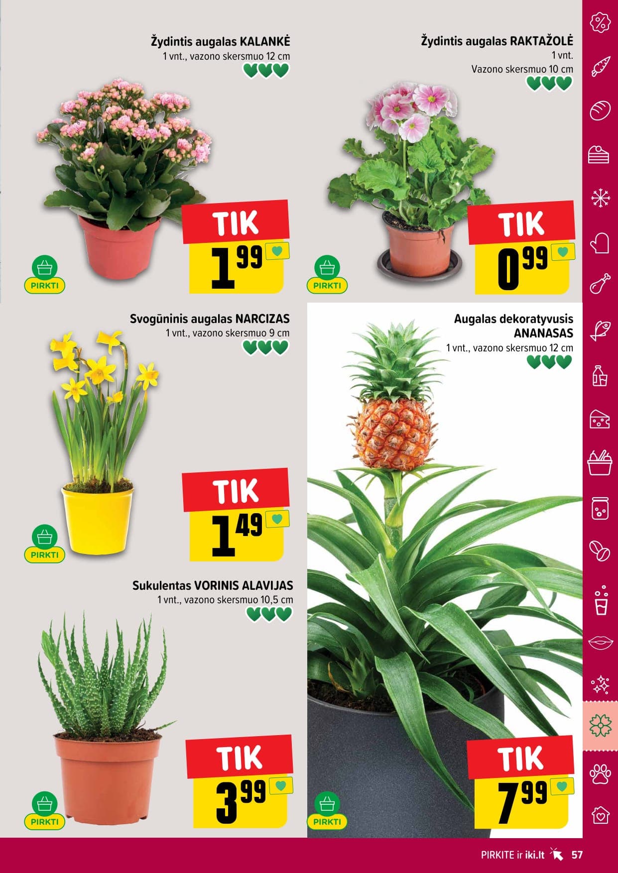 IKI akcijų ir nuolaidų leidinys Nr. 8 nuo 2026.02.16 iki 2026.02.22 - 57