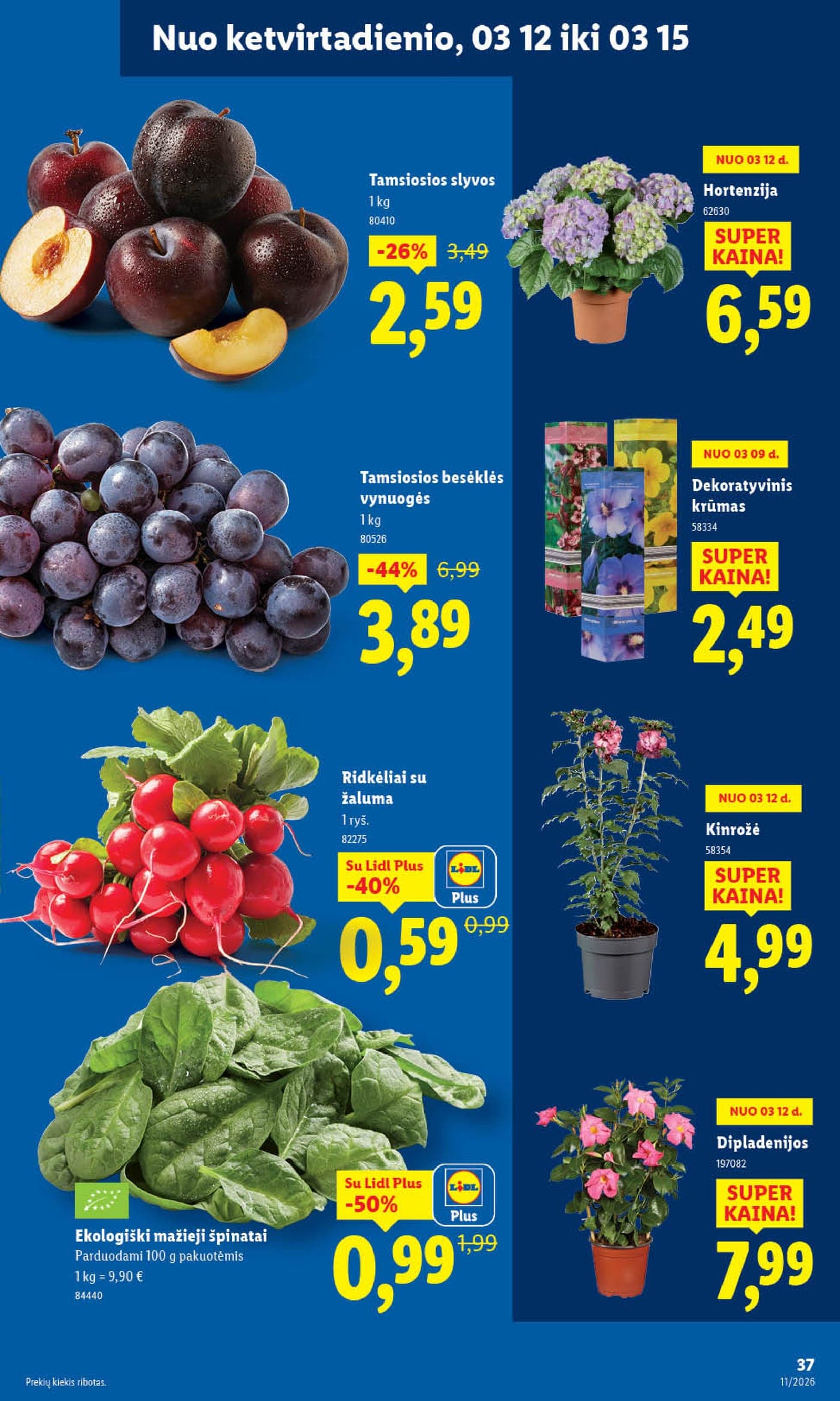 Naujas LIDL akcijų ir nuolaidų leidinys Nr. 11 nuo 2026.03.09 iki 2026.03.15 - 37
